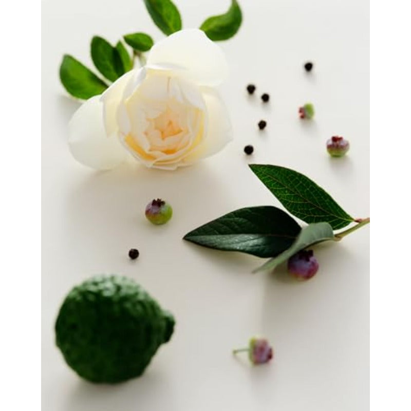 - Le Bouquet Candle Trio Set Natural Soy Wax Candles Luxury Clean Beauty + Non-Toxic Fragrance Set of 3 2.5 oz 74 ml