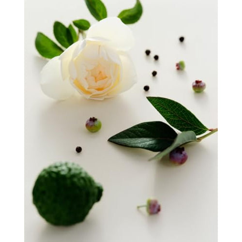 - Le Bouquet Candle Trio Set Natural Soy Wax Candles Luxury Clean Beauty + Non-Toxic Fragrance Set of 3 2.5 oz 74 ml